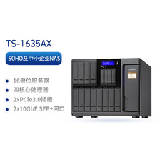 TS-1635AX 企业级大容量网络云存储服务器NAS 16盘位 TS-1635AX+希捷银河企业盘(10T*12)
