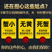 活鲜【冷链运输】大闸蟹鲜活特大现货六月黄母公螃蟹满黄 3.4-0.8两海鲜水产批发 欧登城娜 【母蟹】2.0-2.5两10只