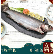 一条鲜活虹鳟鱼淡水三文鱼冰鲜发货泉水养殖味道口感鲜美 姬美食尚 3斤(净重去除17-20%)