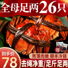 【活蟹】蟹阳坊大闸蟹鲜活螃蟹现货湖河蟹礼盒 全母蟹1.8-2.1两16只