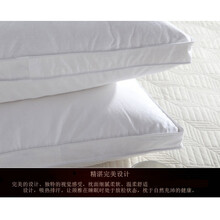 鹅绒枕头五星级酒店专用瑞士希尔顿五星级酒店专用枕芯95%匈牙利白鹅绒单人护颈枕头 白色