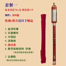 杉贝 SHANBEI 巴乌胶木竖吹仿红木巴乌调降调调调小学生初学入门乐器抖音同款 套餐一:竖吹仿红木降B调巴乌+绒布袋