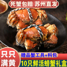【活蟹】10只阳澄东湖大闸蟹鲜活螃蟹现货海鲜水产礼盒装 对蟹：公5.0两+母4.0两（5对）