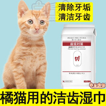 大橘猫洁牙湿巾清洁牙齿除口臭护龈去口臭嘴巴去除牙结石抗菌 一包30枚