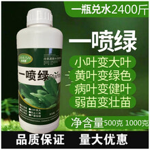 一喷绿叶面肥 黄叶一喷绿喷雾通用绿叶大蒜蔬菜果树叶面肥 一喷绿500克5瓶