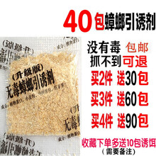 蟑螂药蟑螂捕捉器蟑螂屋除蟑螂灭蟑螂神器诱捕蟑螂盒杀蟑螂贴全窝端 贝净洁 40包无毒蟑螂诱饵剂