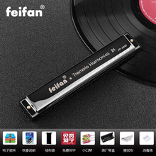 德国进口音簧飞繁口琴24孔重音复音C调高端口琴高级成人专业演奏乐器 夜幕黑+全套赠品