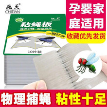 驰天粘蝇纸 强力苍蝇贴 粘蝇纸粘苍蝇蚊虫灭苍蝇药胶灭蝇纸板捕蝇器【50张装】加2包苍蝇诱饵