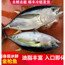 悦芳华旗舰 金枪鱼新鲜金枪生鲜鱼整条16-100斤南方蓝旗大目刺身去鳃去脏海鲜冷冻黄旗吞拿鱼健康轻食 金枪鱼整条45-50斤