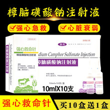 兽药樟脑磺酸钠注射液兽用强心针牛羊猪用强心急救低温不吃食升温芮添