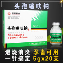 鱼腥草注射用液益母产后康兽用药牛母羊 一针康针剂鱼腥草注射剂 头孢1盒20支