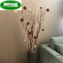 龙柳曲柳干枝天然树枝装饰 客厅落地玄关大花瓶高枝装饰花干花 基础套装不含瓶 干树枝