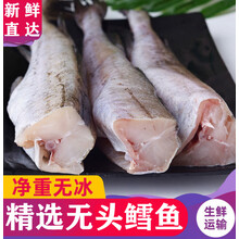 无头鱼深海鳕鱼去头去内脏鳕鱼块明太鱼海水鱼鳕鱼生鲜  纯曼郎帝 十斤 批发装
