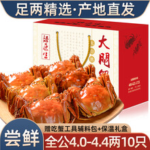 【活蟹】10只装臻原生阳澄湖六月黄大闸蟹鲜活螃蟹现货海鲜水产生鲜蟹类礼盒 全公蟹：4.0-4.4两（10只）