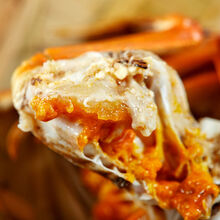 大螃蟹鲜活大闸蟹现货六月黄海鲜公母蟹河蟹礼盒装生鲜  罗菲迪新 【8只装】1.8-2.2两