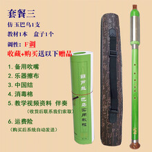 杉贝 SHANBEI 巴乌胶木竖吹仿红木巴乌调降调调调小学生初学入门乐器抖音同款 套餐三:竖吹仿玉F调巴乌+教材+皮盒