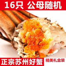 活鲜【冷链运输】大闸蟹鲜活 螃蟹特大公母 现货海鲜镇8 /16只礼盒装 欧登城娜 【公母2.5-2.0两】16只