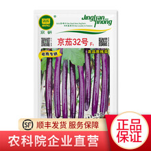 北京农科院京研线茄种子长茄子种子紫色线茄四季播种非转基因种籽家庭阳台园艺庭院室内外盆栽种籽 京茄32号20粒1袋