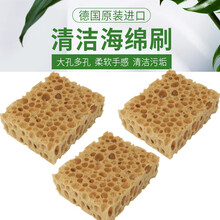 马毛刷 原装鬃毛清洁除尘鞋油皮衣抛光皮鞋刷软毛 PEDAG洗鞋海绵刷三只装/813