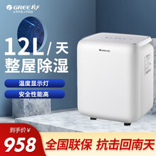 格力（GREE）除湿机家用抽湿机卧室轻音干衣除湿器低噪干衣除湿器小档案室去湿机12升/天 DH12EN