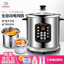 永兴电炖锅全自动不锈钢304分体多用途双炖陶瓷隔水炖盅预约定时煲汤煮粥炖柠檬膏家用商用 40AFK (10L钢胆不含炖盅）适合8-9人