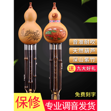 葫芦丝c调乐器儿童初学入门零基础初学者小学生楠竹练习降b调 经典款小D调