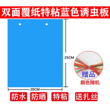 溪沫 双面加厚特粘诱虫蓝板粘虫板黄板果园茶园大棚家用等灭多种小飞虫 40张双面覆纸加厚特粘蓝色20x25