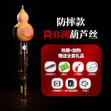 葫芦丝乐器初学者c调降b调a调g调f调小d调儿童小学生入门男女自学 防摔型 降B调葫芦丝