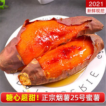 [莱州馆]山东蜜薯烟薯25号 甜心红薯地瓜  产地直发新鲜蔬菜 3斤中果
