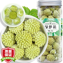 【拍2罐=发3罐】绿萝花茶  精选新货西藏绿萝花结香花茶雪丽花茶 养生茶饮清三高绿萝花罐装60g