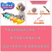 狗嘴套防咬防叫乱吃止吠器泰迪鸭嘴套比熊小型犬狗狗用品宠物口罩 橙色+耐咬玩具三件套 S码【小号建议4-9斤】