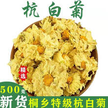 菊花茶杭白菊500g桐乡杭白菊散装杭菊杭州白菊花贡菊黄菊新花定制 500克【装】27%选择 精选杭白菊  新货上市
