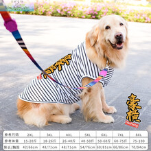 京开【透气舒适 加大款】狗狗金毛衣服夏季薄款大狗狗衣服夏季薄款金毛萨摩耶拉布拉多夏天透气中型犬大型犬 (大狗短袖)黑白条纹豪横 8XL