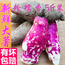 脚板薯紫山药毛薯淮山农家现挖粉软糯大薯新鲜蔬菜土特产一份 【5斤装】掌柜