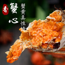 特大正宗大闸蟹新鲜活螃蟹现货公母蟹随机螃蟹 大闸蟹2+2（2.0-1.5两）试吃装
