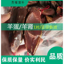伟博羊蛋干羊蛋羊宝羊睾丸中 药材羊肾羊腰子泡酒料一对2个可磨粉
