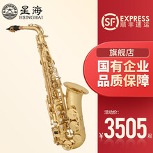 星海中音萨克斯 降E调萨克斯乐器 初学者演奏儿童 学生考级款萨克斯 XAS-120/Eb调中音萨克斯【含全套配件】