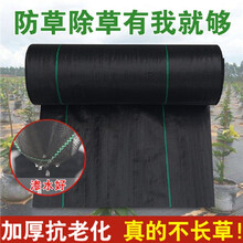 古达 防草布除草布农用园艺专用地布抗老化果园果树遮草盖草布耐用透气保湿 加厚抗老化【0.4米*200米】