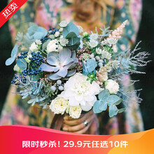 【虹越】萌吖吖花卉种子 耧斗菜风铃草勿忘我满天星薰衣草福禄考角堇蒲公英等种子 花园庭院露台花卉种子 尤加利蓝色领主