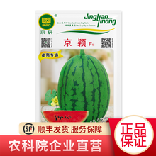 北京农科院京研京颖西瓜种子水果种子麒麟瓜8424小籽早熟晚熟甜王巨型特大小西瓜四季绿皮红瓤种籽阳台 京颖红瓤西瓜种子20粒1袋