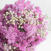 轻奢芊阙云南勿忘我满天星情人草真花干花花束家居摆设小清新客厅卧室装饰 粉色+满天星 1斤（约20枝）