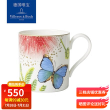 德国唯宝（villeroyboch）骨瓷咖啡杯碟套装马克杯水杯创意亚马逊系列 咖啡杯0.21L