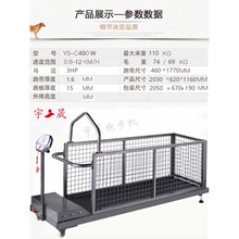 宠物跑步机狗狗跑步机犬用溜狗格力惠比特细狗动物训练器材 C400W