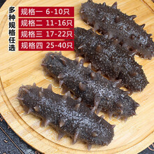 即食海参刺参单只装大连辽参礼盒年货 6斤家庭装 25-40只/斤