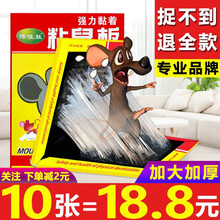 柯诺 强力粘鼠板老鼠贴老鼠药灭鼠神器大号加厚灭鼠神器 强力粘鼠板10个