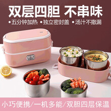 乾卫电热饭盒电加热保温蒸饭热饭菜带饭热饭神器上班族自热便携迷你小型插电双层加热保温蒸煮热饭盒 粉红少女双胆