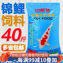 贝斯特锦鲤鱼饲料40斤鱼粮不浑水增肥增色锦鲤鱼食金鱼颗粒观赏鱼饲料 贝斯特【主食】20kg 4号(6mm)上浮料