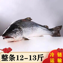 三文鱼冷冻新鲜整条三文鱼刺身寿司生鱼片食材可帮分割 生鲜 艾黎迪尚 冷冻12-13斤/条