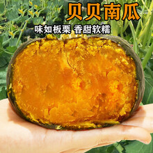 贝贝南瓜板栗味小南瓜5斤栗子面新鲜蔬菜 4500g