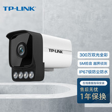 TP-LINK H.265+ 300万像素DC供电双光全彩音频网络摄像机智能网络摄像头高清夜视远程监控 TL-IPC536HS-W6